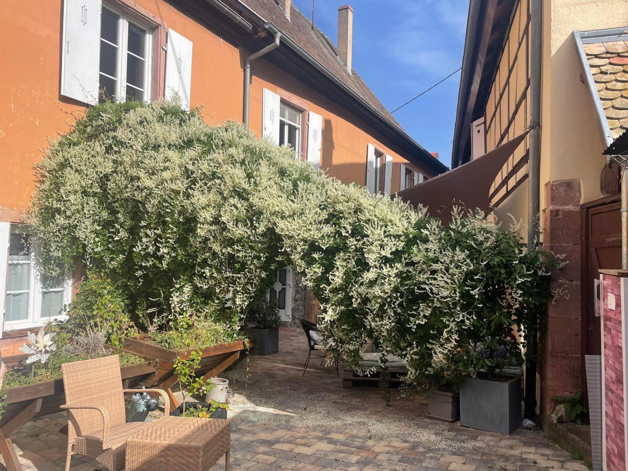 Caveau 1751 Niedermorschwihr ภายนอก รูปภาพ