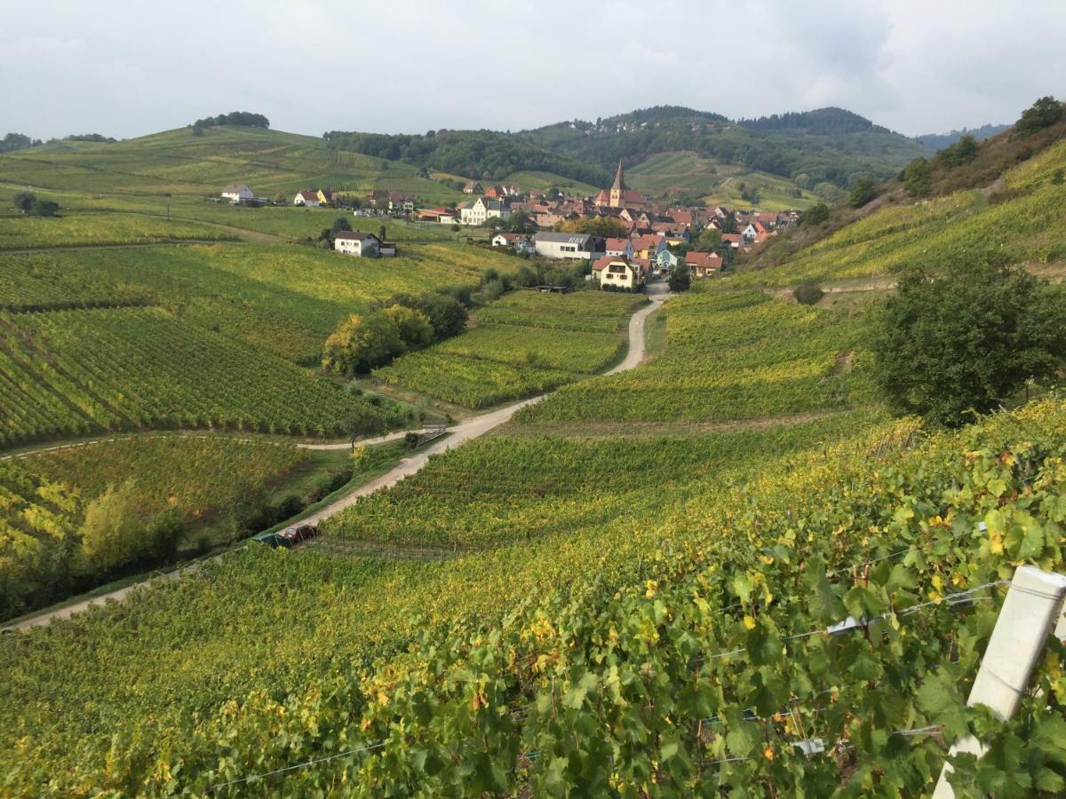 Caveau 1751 Niedermorschwihr ภายนอก รูปภาพ